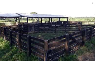 Imagem: A fazenda possui 1950000m² de Área, Imóvel novo e está localizado