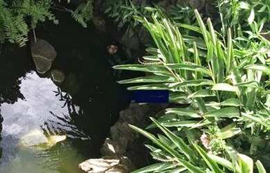 Imagem 13: Casa com 7 dormitórios, 900 m² - venda por R$ 6.000.000,00 ou aluguel...