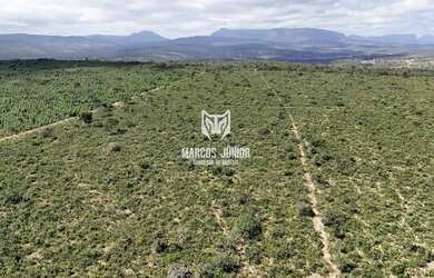 Imagem: A fazenda possui 1m² de Área e está localizado em Grão