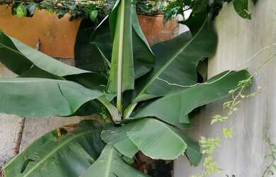 Imagem 8: Vendo ou troco Casa com 1 dormitório