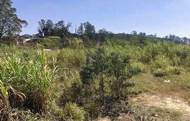 Imagem 7: Terreno com 7.146m² DESOCUPADO no Bairro dos Altos, Barueri/SP