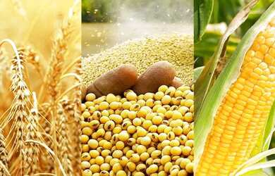 Imagem: O depósito possui 1 Vaga na garagem, 1m² de Área e está