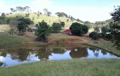 Imagem 7: Chácara à venda em Petrolina de Goiás 8 Alqueires
