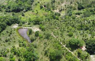 Imagem 10: Fazenda Mista em Conde -BA