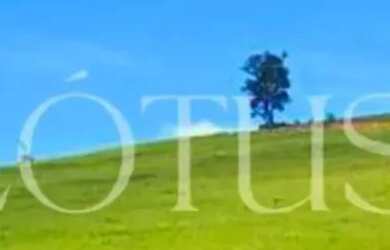 Imagem: O terreno possui 600m² de Área e está localizado em Centro