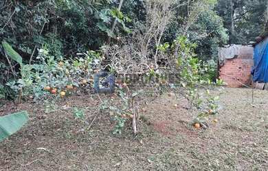 Imagem 10: Terreno Comercial de 20.000 m² à venda em São Bernardo do Campo (Riacho Grande