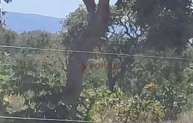 Imagem 8: Fazenda à venda, 561 hectares por R$ 7.100.000 - Zona Rural - São João...