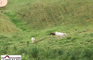 Imagem 12: Jiquiriçá - RURAL - Zona Rural