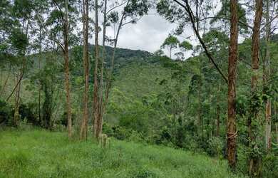 Imagem 7: Bota Fora - Área Rural com 52 Alqueires Região da Fernão Dias