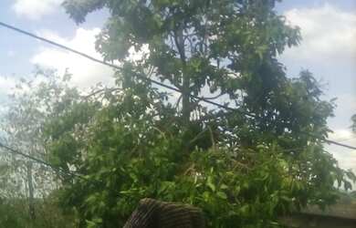 Imagem 6: Terreno abençoado 5x20. 100m² de Área