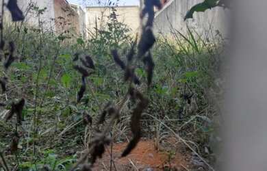 Imagem 3: Lote/Terreno para venda tem 125 metros quadrados em Residencial Jatobá...