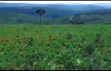 Imagem 9: PROPRIEDADE 5.092 HECTARES FAZENDAS REUNIDAS JP JEQUIÉ BA