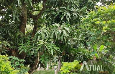 Imagem 16: Terreno aclive a Venda de 1.800m² em Atibaia Jardim Estancia Brasil
