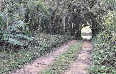 Imagem: A chácara possui 5.000m² de Área e está localizado em Colonia