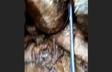 Imagem: A chácara possui 25000m² de Área e está localizado em Aterrado