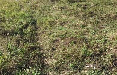 Imagem 5: Terreno em Itaoca praia. 