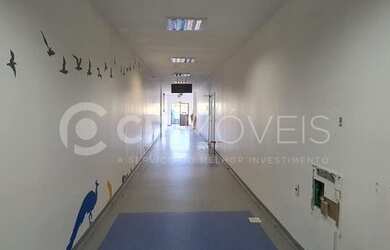 Imagem 11: PORTO ALEGRE - Galpão/Depósito/Armazém - Jardim Leopoldina