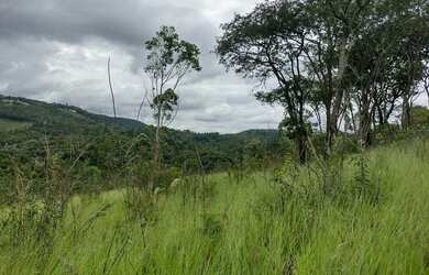 Imagem 4: Bota Fora - Área Rural com 52 Alqueires Região da Fernão Dias