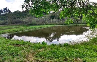 Imagem 3: Linda Chácara - Fazenda Rio Grande
