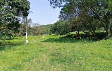 Imagem 5: Área de 75 mil m2 á venda na Ilha de Guaratiba - Rio de Janeiro - RJ