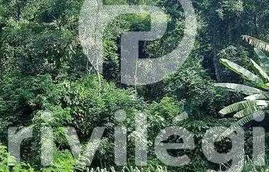 Imagem 11: Terreno à venda, Freguesia Jacarepaguá - RIO DE JANEIRO/RJ