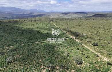 Imagem 8: VENDO FAZENDA PARA PLANTIO DE CAFE, EUCALIPTO OU BATATA NO NORTE MG, GRAO...