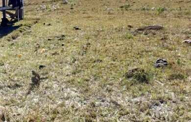 Imagem 13: Chácara em mato queimado 2 km da estrada do Cazuza ferreira