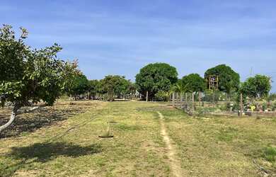 Imagem 6: VENDE-SE SÍTIO EM AMAJARI - OPORTUNIDADE IMPERDÍVEL