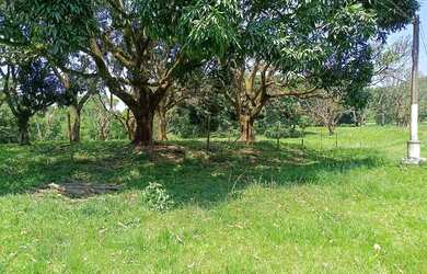 Imagem 12: Área de 75 mil m2 á venda na Ilha de Guaratiba - Rio de Janeiro - RJ