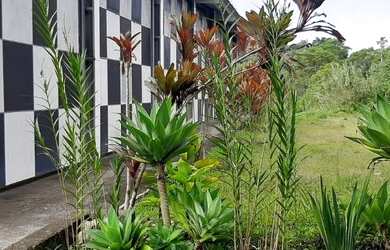 Imagem 13: Juquitiba - Galpão/Depósito/Armazém - Juquiazinho