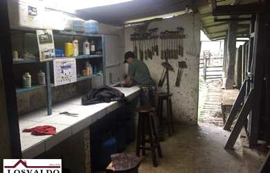 Imagem 5: Jiquiriçá - RURAL - Zona Rural