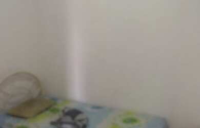 Imagem 6: Casa. 3 Banheirose5 Dormitórios