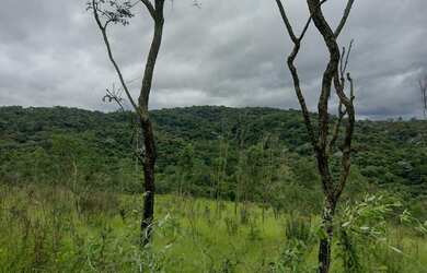 Imagem 2: Bota Fora - Área Rural com 52 Alqueires Região da Fernão Dias