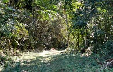 Imagem 3: Juquitiba - Terreno Padrão - Loteamento Parque das Palmeiras II