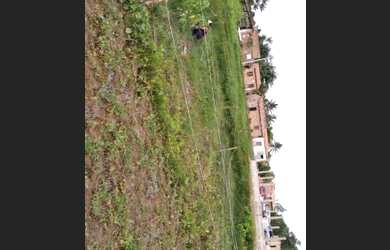 Imagem: A casa possui 3 Dormitórios, 1 Banheiro e está localizado