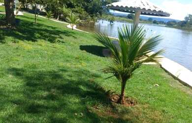 Imagem 6: Lote em condomínio fechado