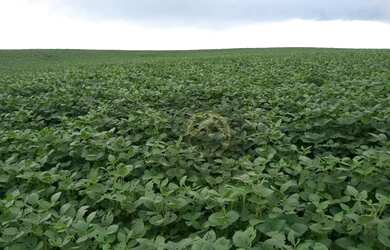 Imagem: A fazenda possui 1.718.200m² de Área e está localizado em