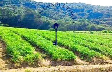 Imagem 5: 03o-Terreno próx Bragança
