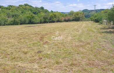 Imagem: Terreno, Área Rural, São Pedro Do Sul
