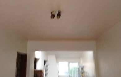 Imagem 7: Casa Hamburgo Velho Novo Hamburgo