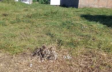 Imagem 1: Terrenos em Umuarama PR. 200m² de Área