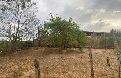 Imagem 1: Vendo lote. 