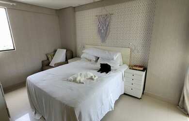 Imagem 8: Dellamare proximo ao hotel Luzeiros em São Marcos - São Luís - MA