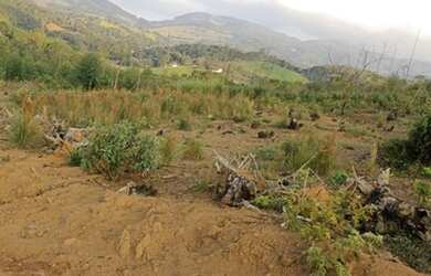 Imagem 9: Terreno com acesso. Piscinae600m² de Área