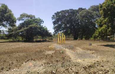 Imagem 14: Fazenda à venda, 561 hectares por R$ 7.000.000 - Zona Rural - São João...
