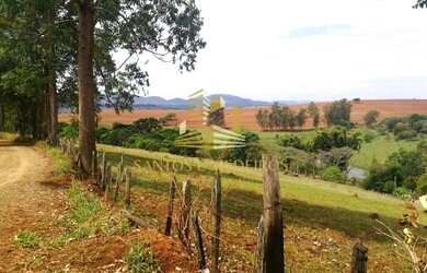 Imagem 2: Terreno para venda no Chaves por R$ 98.000 aceita troca