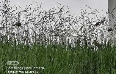 Imagem 4: Terreno abençoado 5x20. 100m² de Área
