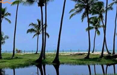 Imagem 6: 41,58m2 pé na areia carneiros térreo vista piscina, urgente última...