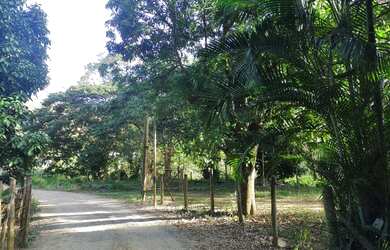 Imagem 4: Chácaras em Formate viana