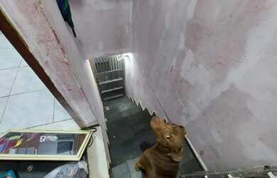 Imagem 2: Apartamento Cobertura com Lage e vista livre na Rocinha